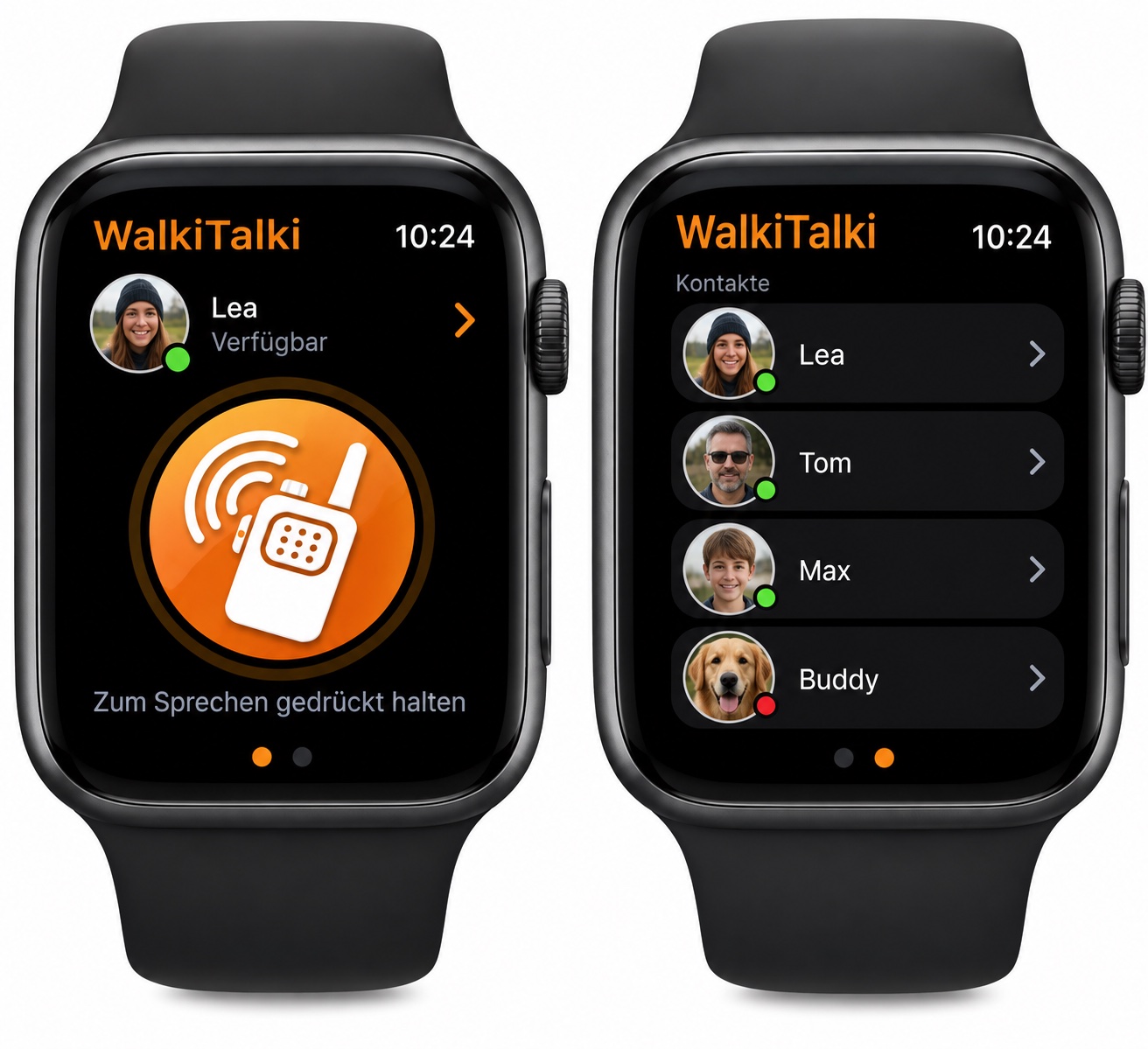 WalkiTalki Screenshot 1